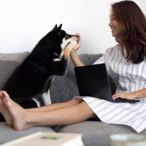 Complete Veterinary Mastery